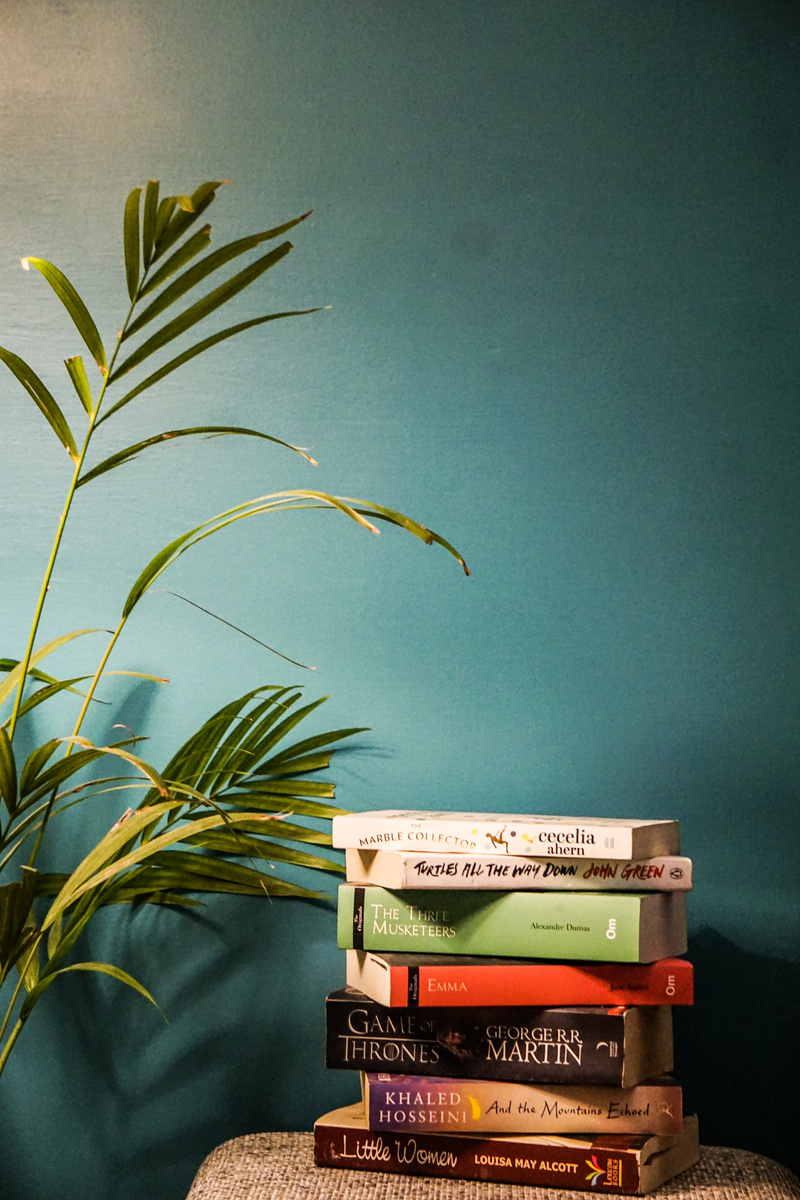 Book Stack and House Plant